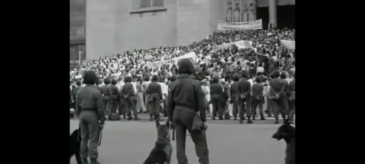 whatsapp image 2021 11 14 at 15.55.25